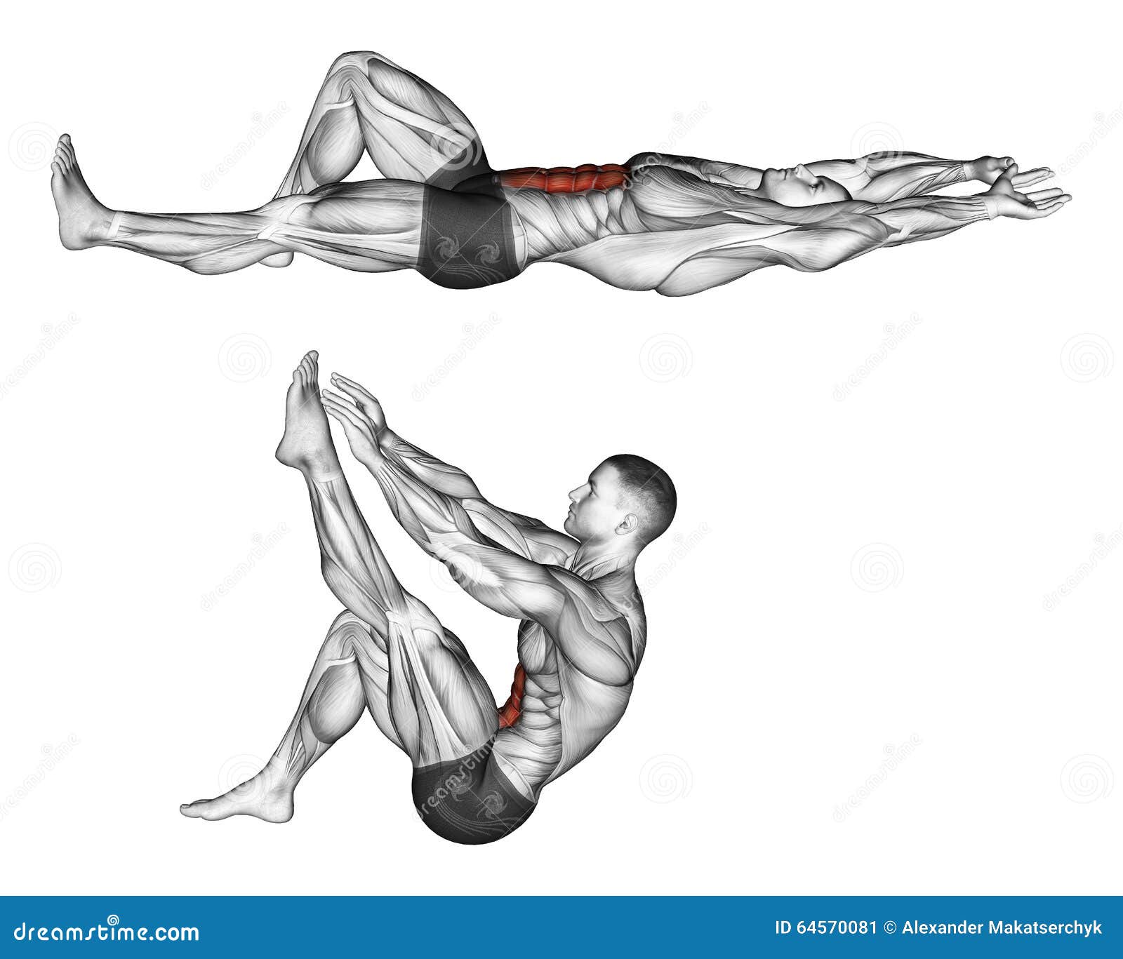 Exercising. Flexion of the Trunk with the Legs Pulling Up the Leg