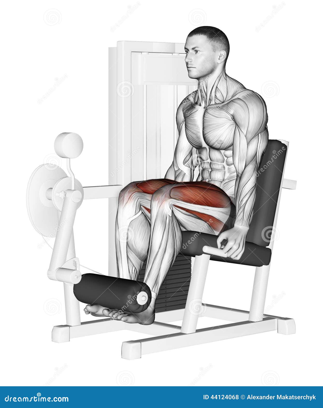 Exercising. leg Extension stock illustration. Illustration of marked -  44124068