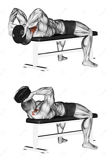 Exercising. Lifts the Head, Lying on the Bench Stock Illustration ...