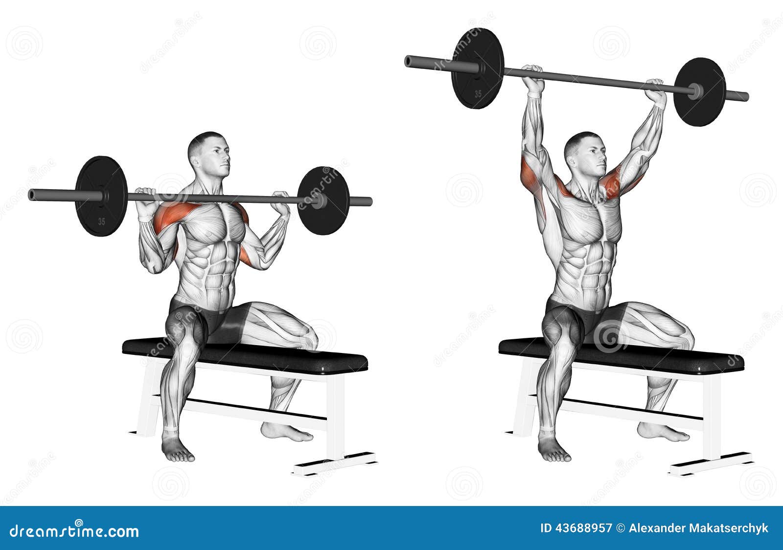 Bodybuilding Chest Exercises For Men