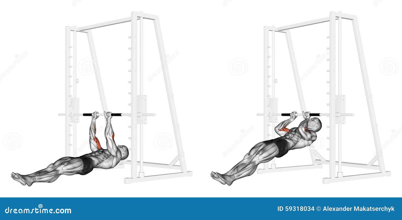Exercising. Pullups on the Brachialis Stock Illustration