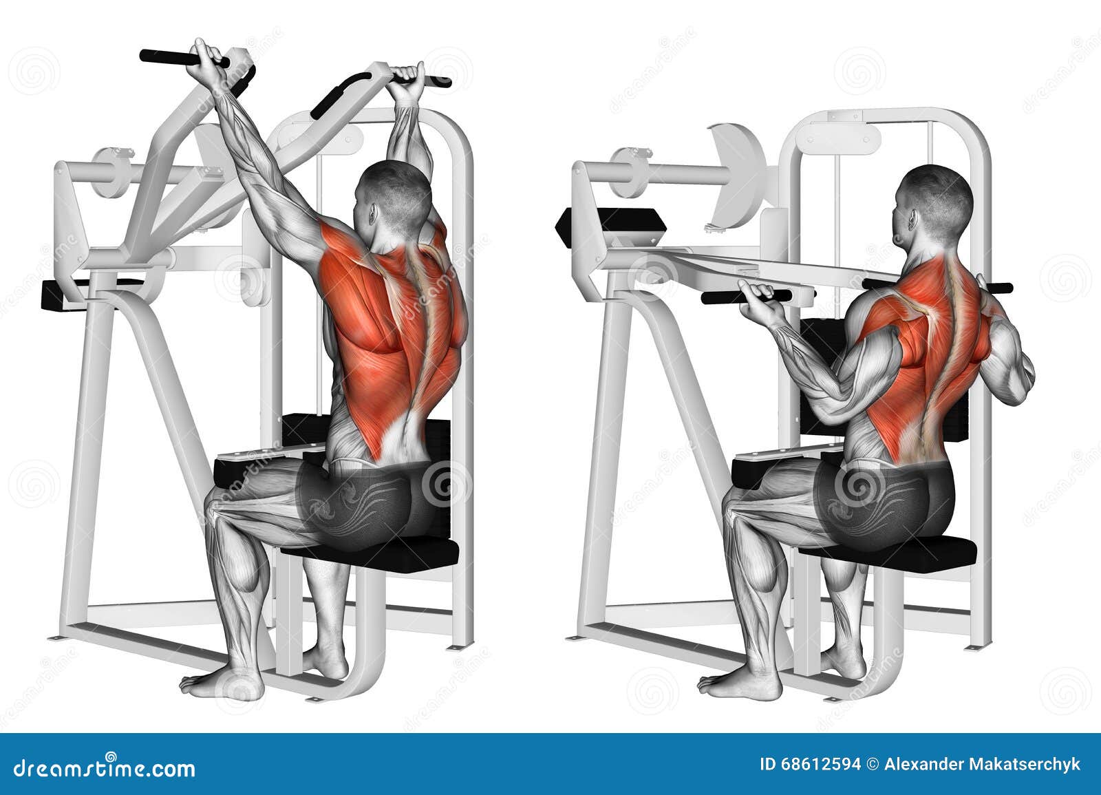 Machine Lat Pulldown (Reverse Grip)