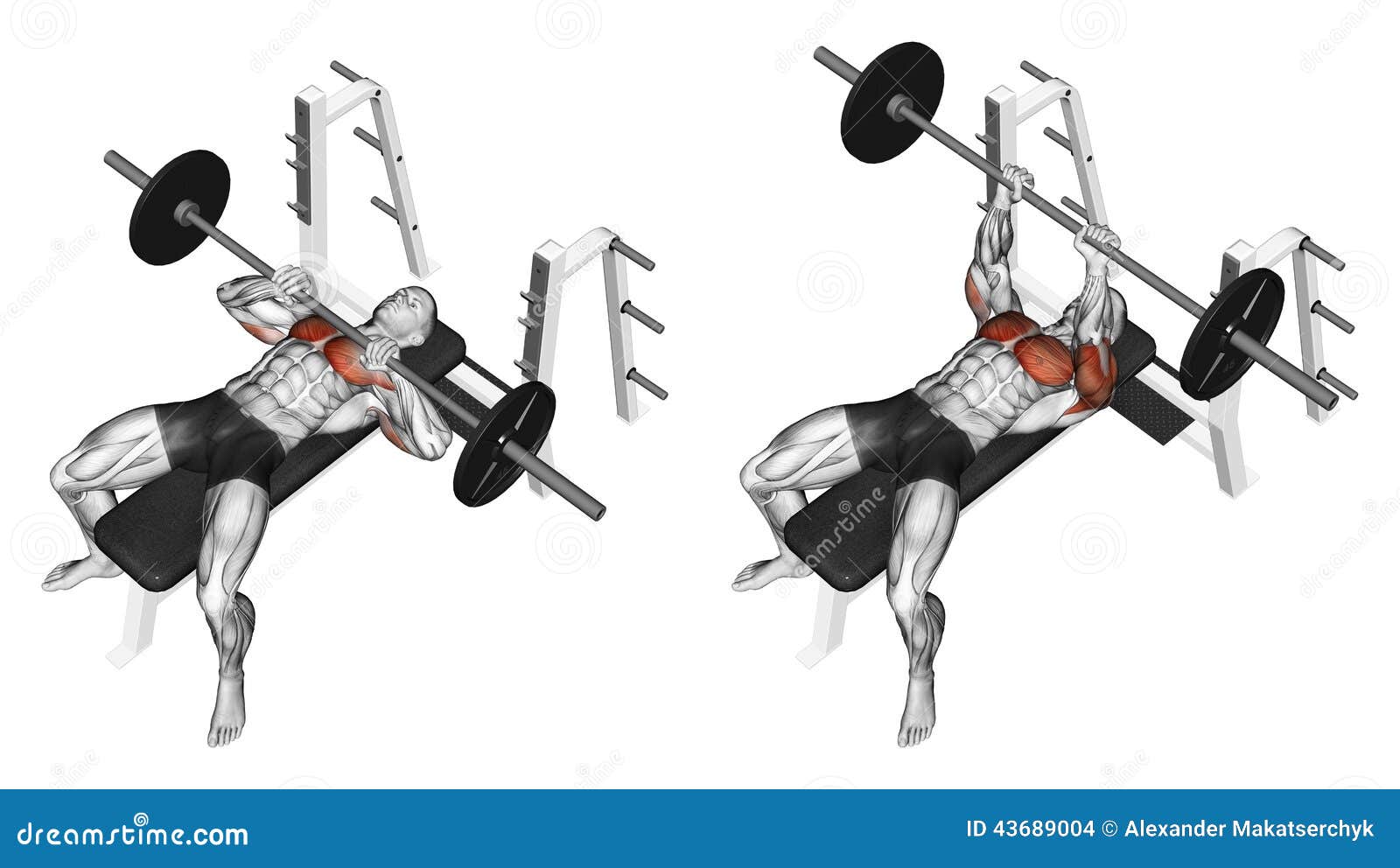 Rod narrow grip bench press, lying on the bench. Target muscles are 