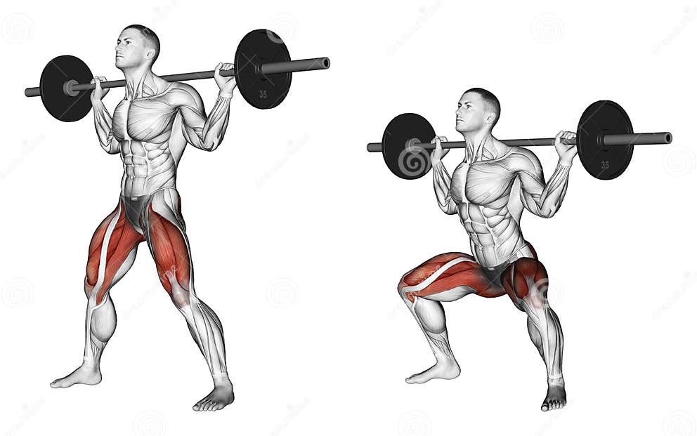 Exercising. Wide Squats on His Shoulders Stock Illustration ...