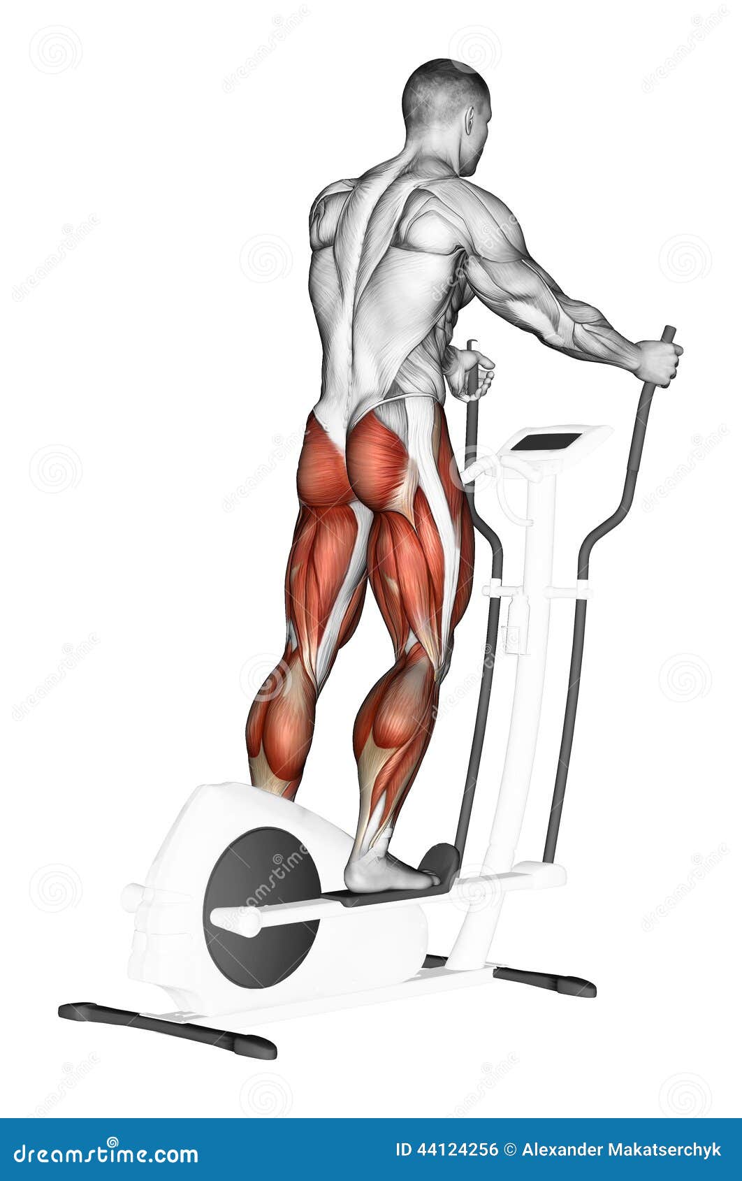 Saiba como aliar a musculação ao treino de bike da forma correta, image size:1062x1690