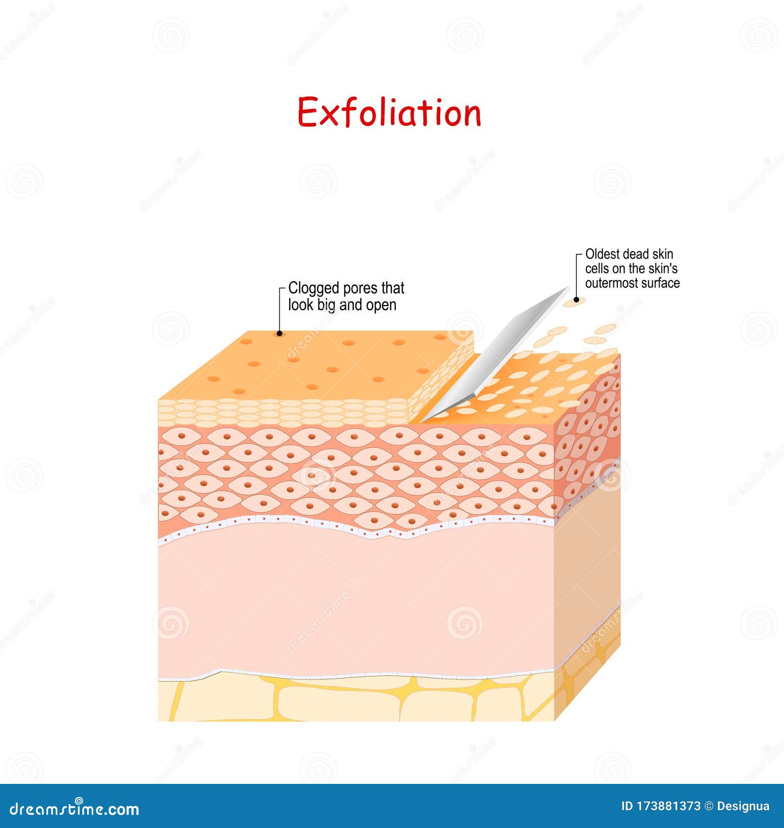 exfoliation. peeling or physically scrubbing. skin care