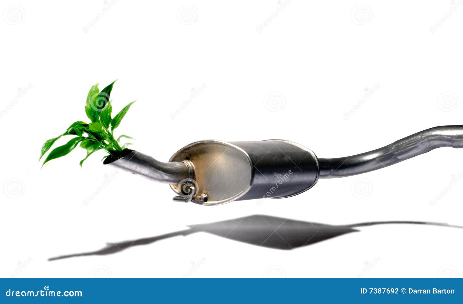 Exhaust plant stock photo. Image of freindly, exhaust 7387692