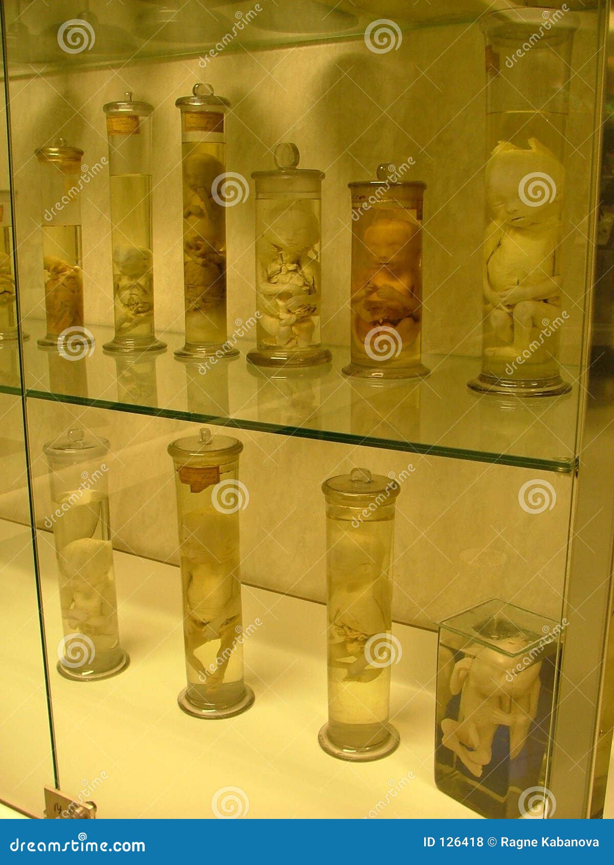 Exhibition items editorial stock photo. Image of bottle 126418