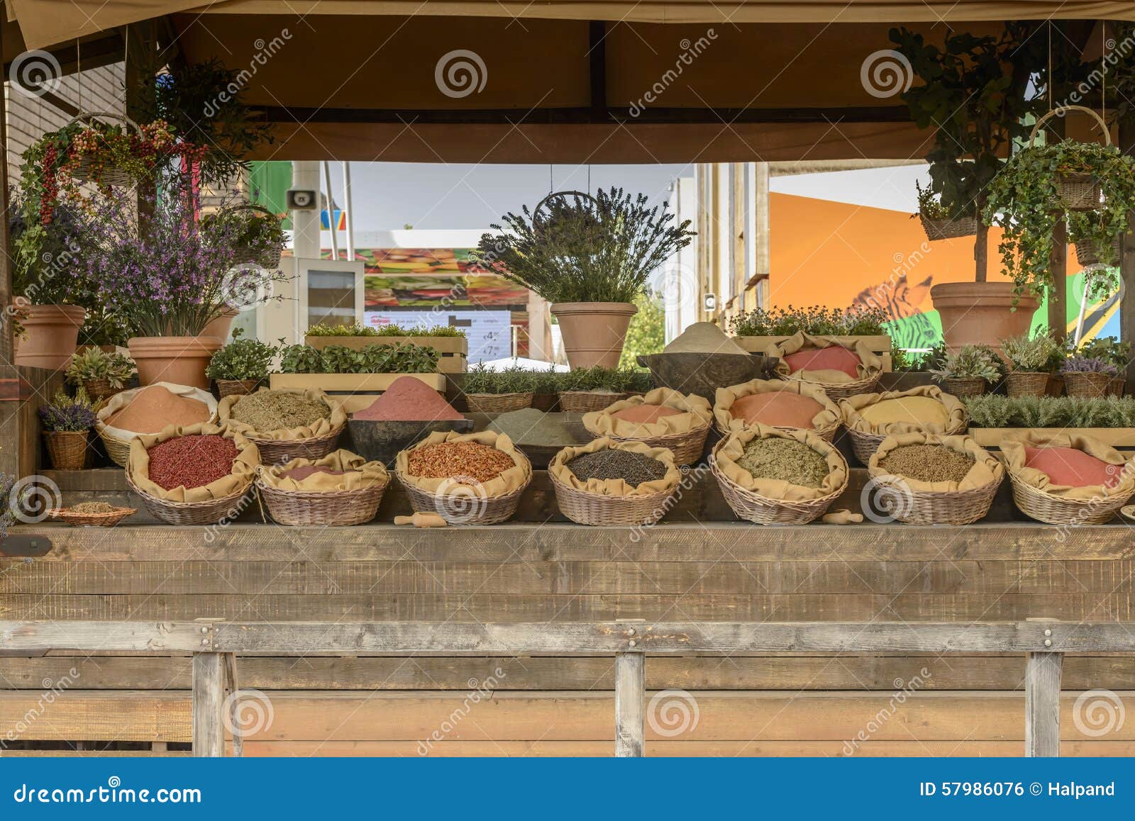 Download Exhibition Of Mockup Of Seeds Food , EXPO 2015 Milan Editorial Photo - Image of food, expo: 57986076