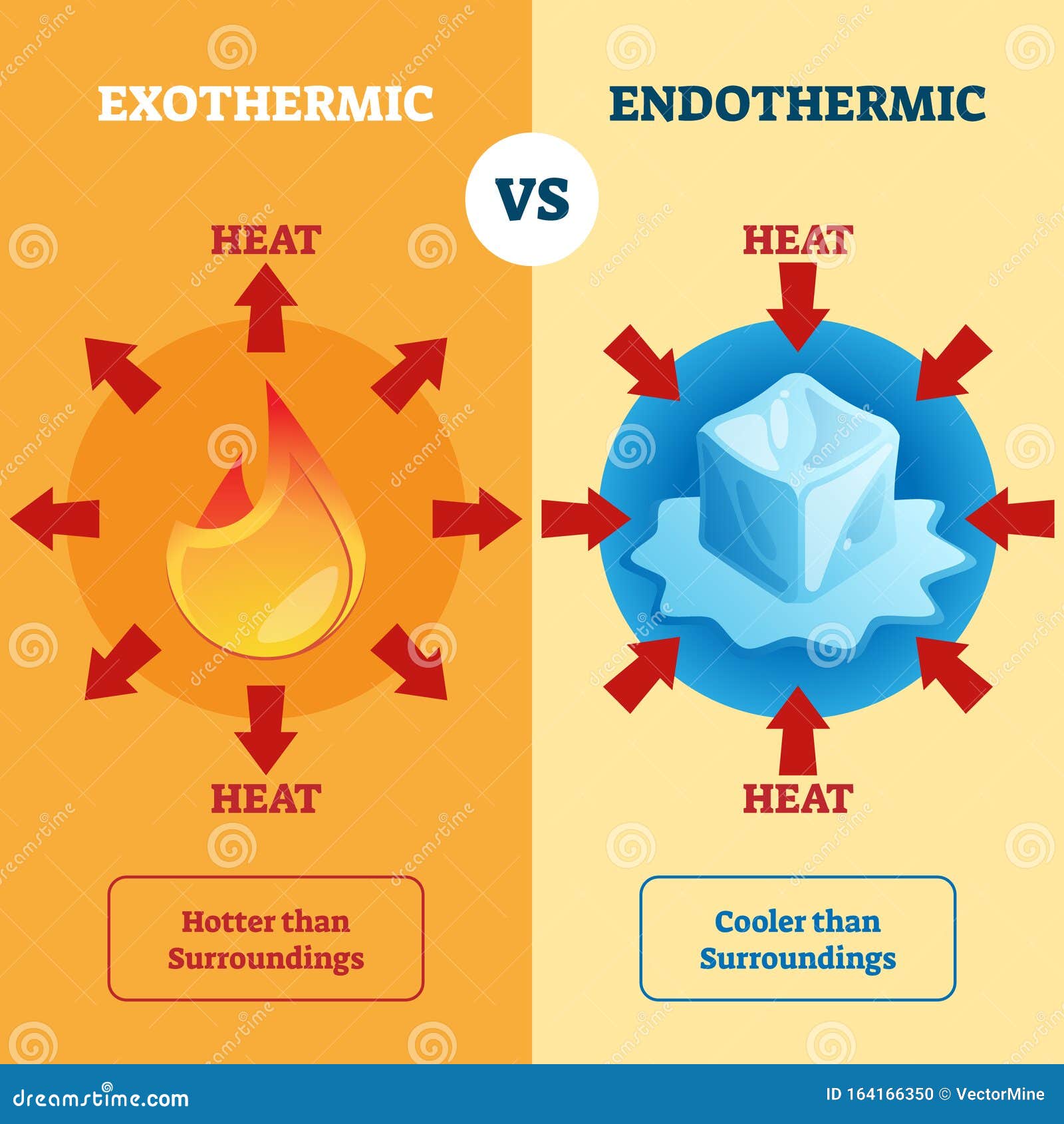 Exothermic Vs Endothermic Diagram
