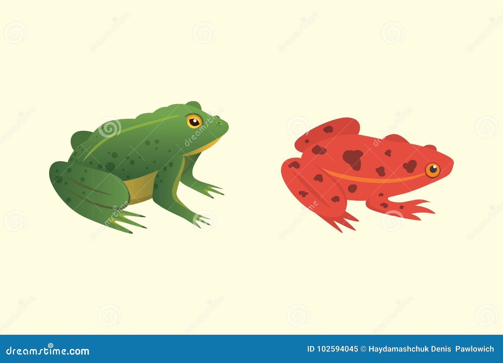 exotic amphibian set. frogs in different styles cartoon
