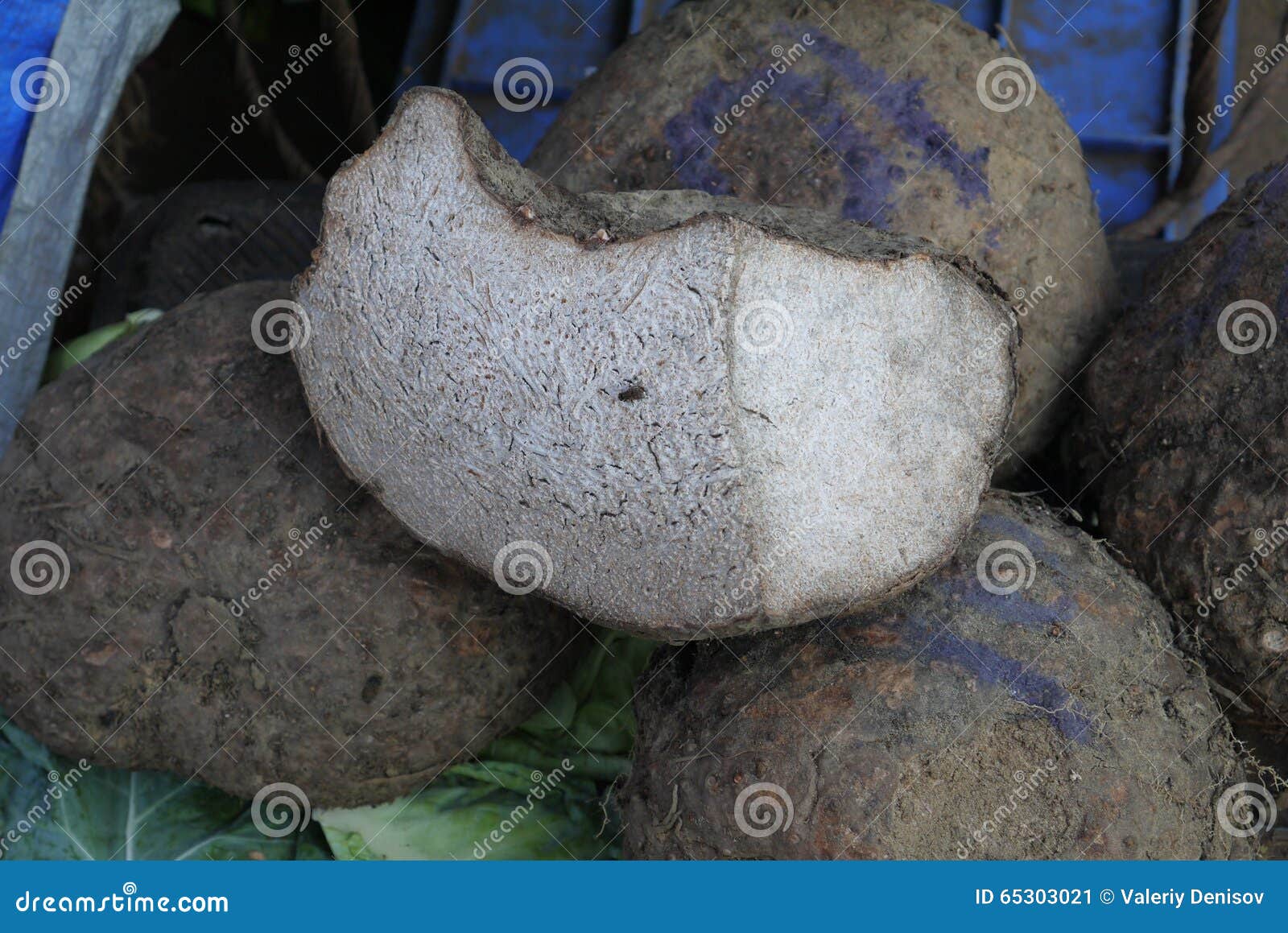 Exotic Asian vegetables stock image. Image of exotic 65303021