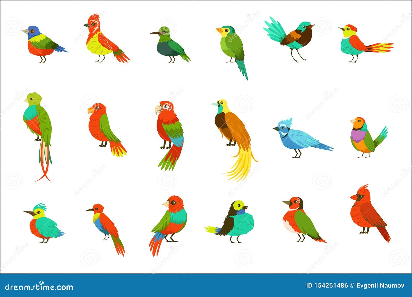 Exotic Birds from Jungle Rain Forest Set of Colorful Animals Including Species of Paradise Birds and Parrots Stock Vector - Illustration of parrot, bright: 154261486 Exotic Birds from Jungle Rain Forest Set of Colorful Animals Including Species of Paradise Birds and Parrots Stock Vector - Illustration of parrot, bright: 154261486