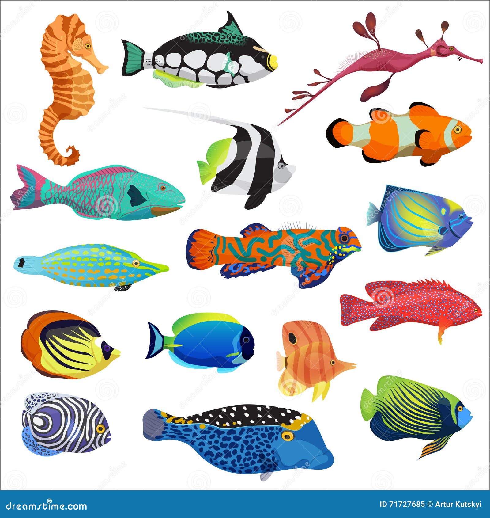 exotic colorful tropical fish fishes collection set .
