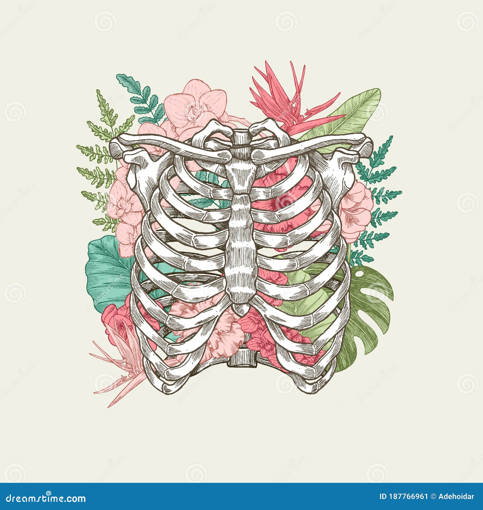 Exotic Florals Vintage Rib Cage Illustration Stock Vector Illustration Of Anatomical Background 187766961