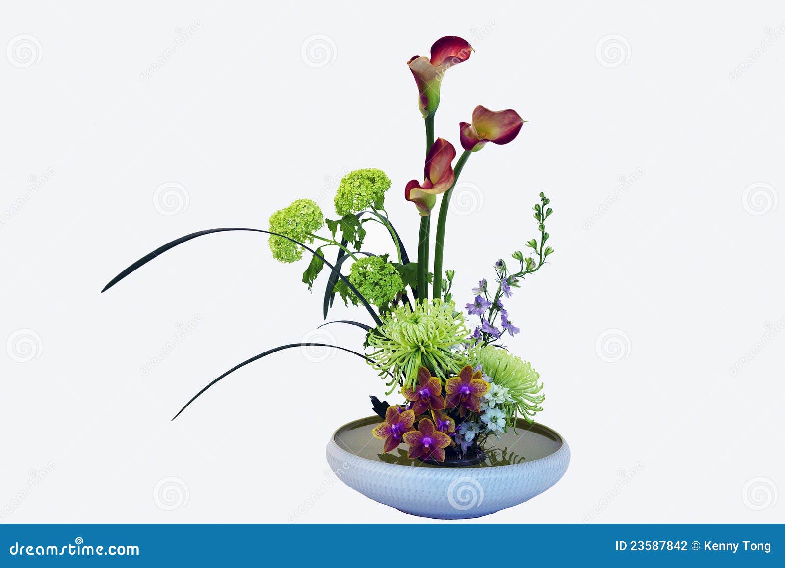 Exotic Flower Bouquet stock photo. Image of botany, chrysanthemum