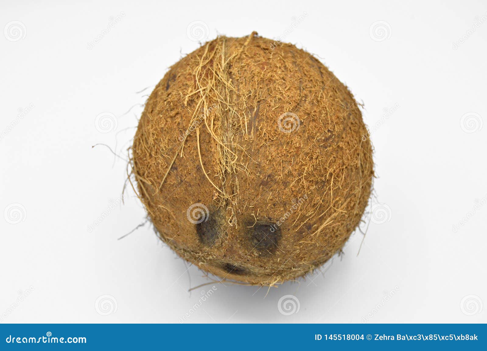 Exotic Fruit Coconut with Brown Surface. Stock Photo Image of husk
