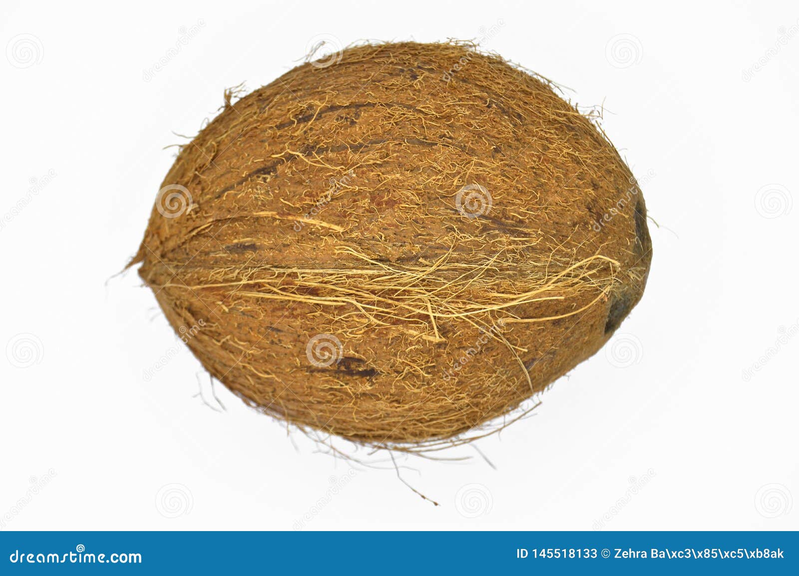 Exotic Fruit Coconut with Brown Surface. Stock Image Image of