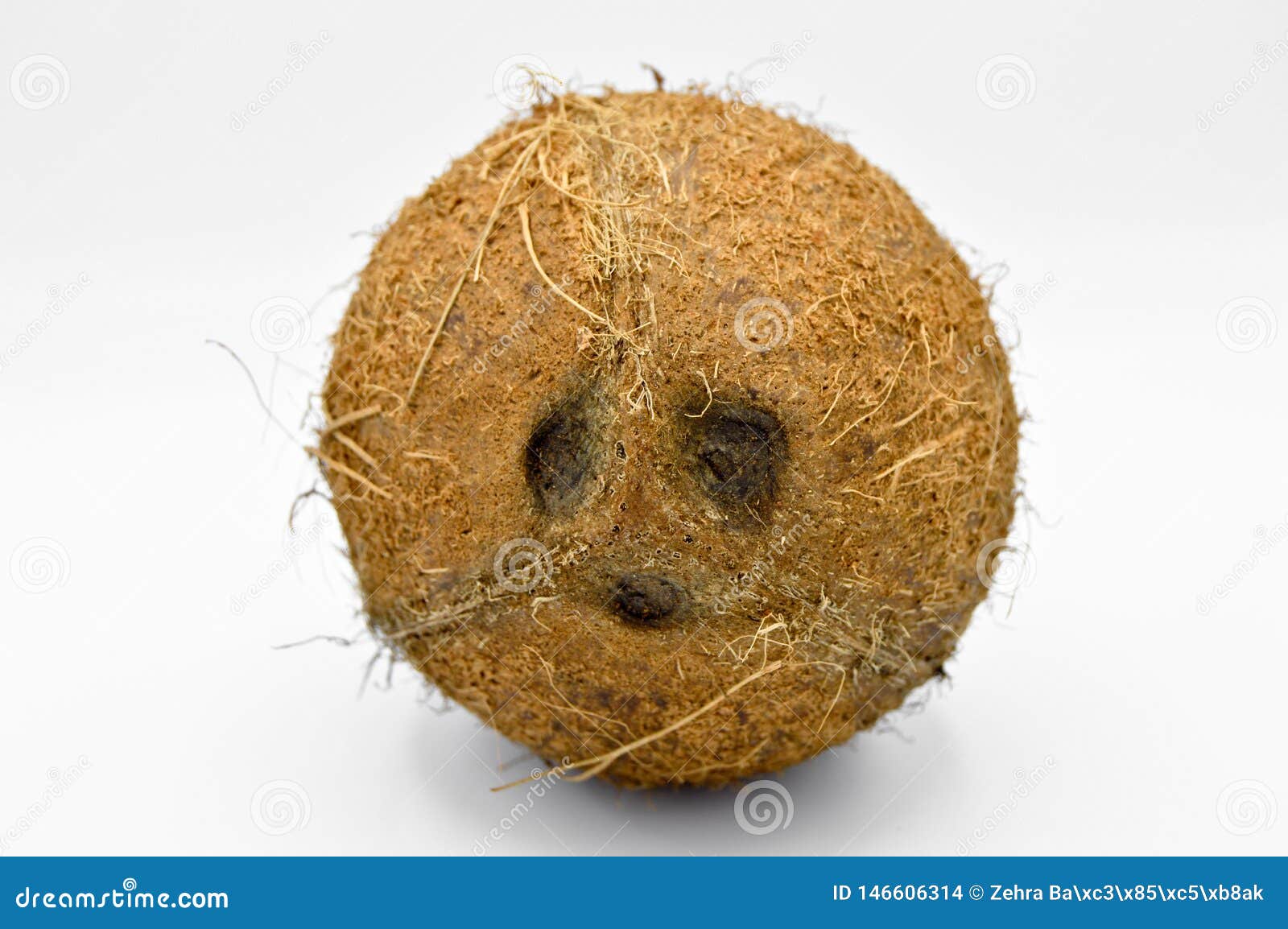 Exotic Fruit Coconut with Brown Surface. Stock Photo Image of dessert