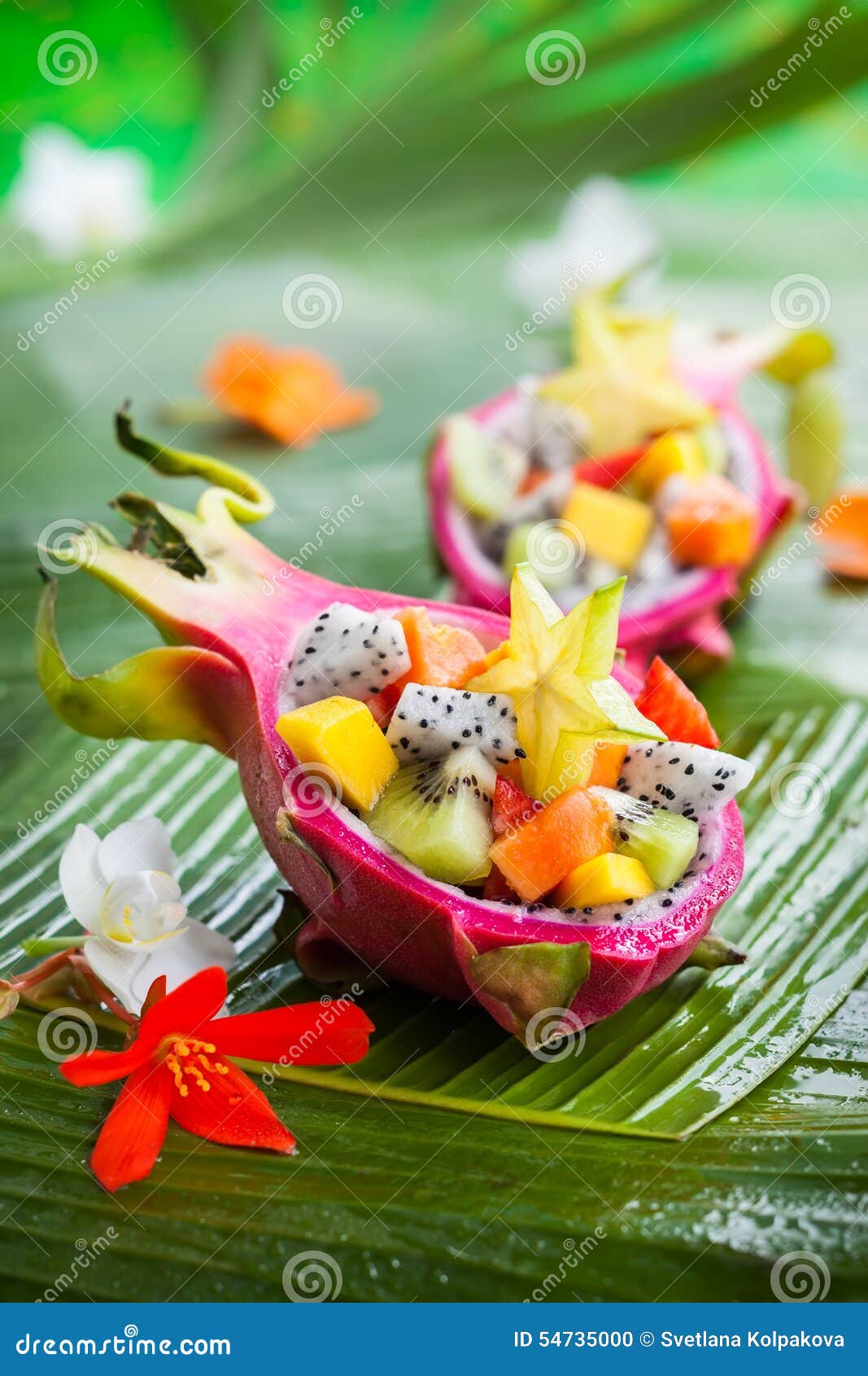 Exotic fruit salad stock photo. Image of orchid, dessert 54735000
