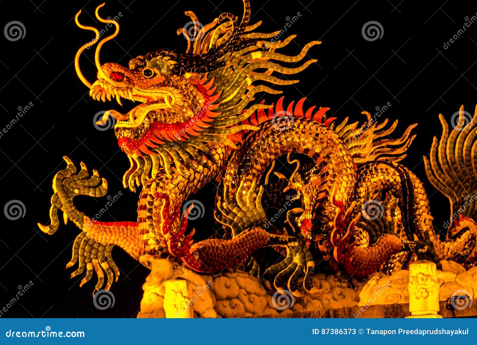 Exotic Gold Dragon on Black Sky Background Stock Image Image of east