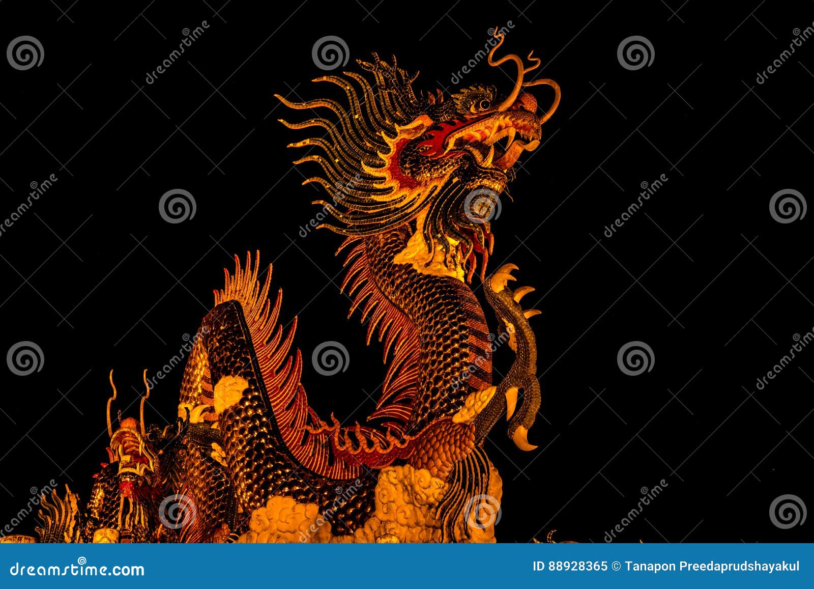 Exotic Gold Dragon on Black Sky Background Stock Image Image of