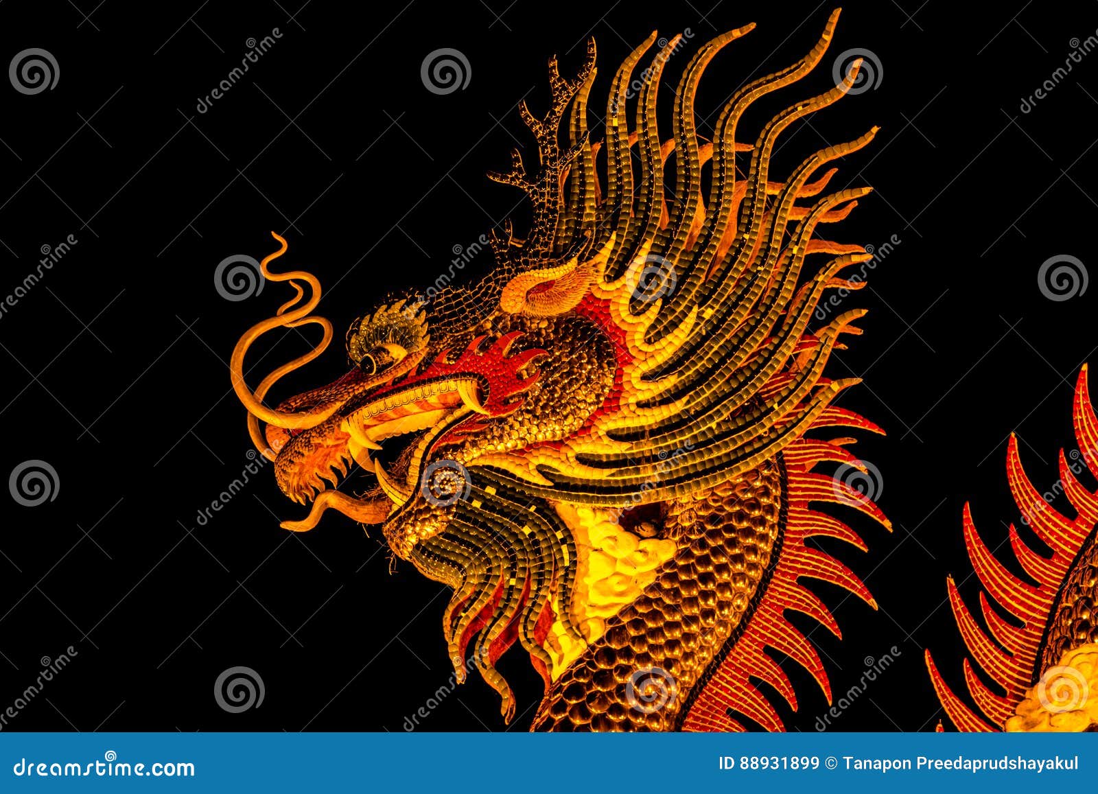 Exotic Gold Dragon on Black Sky Background Stock Image Image of