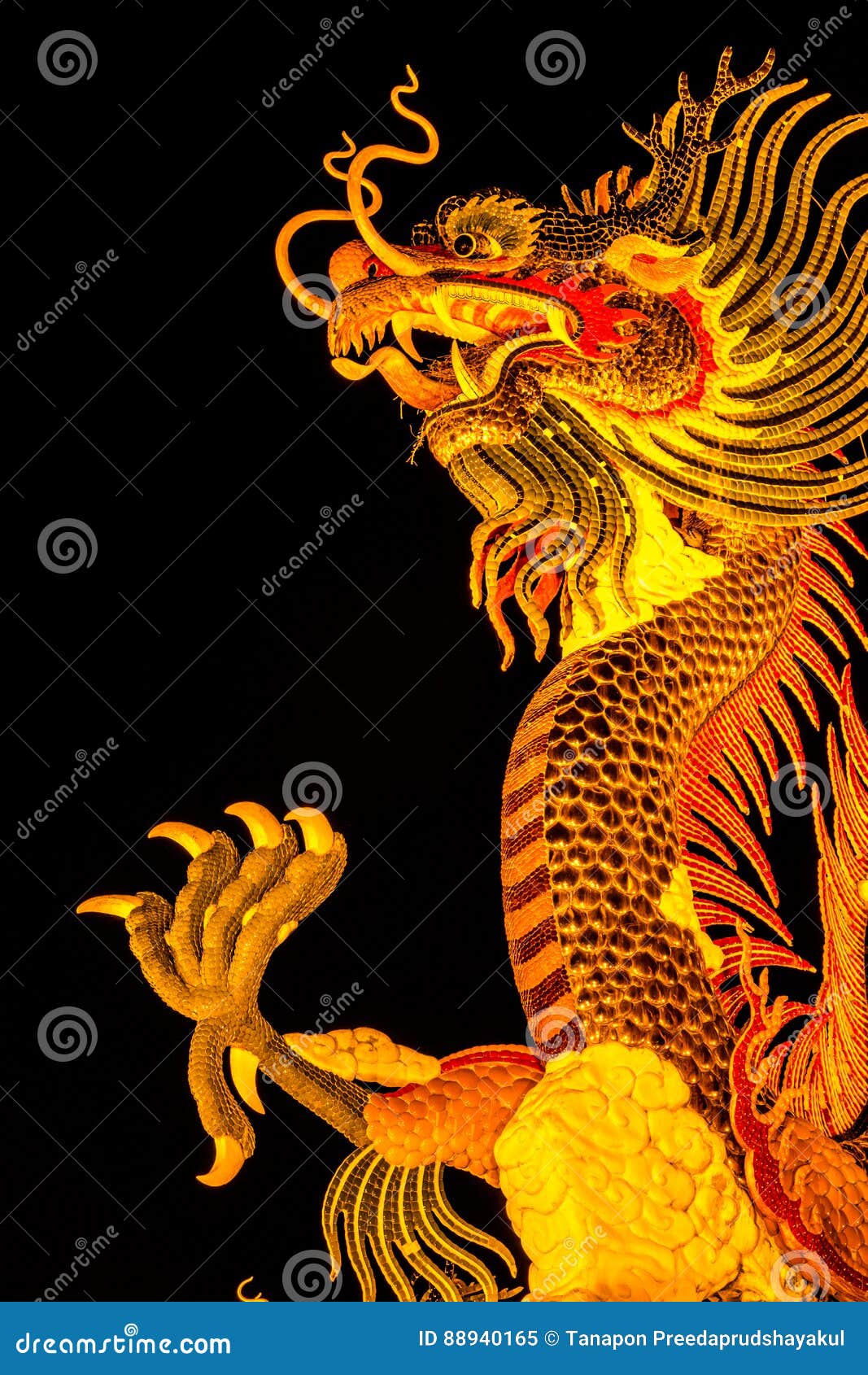 Exotic Gold Dragon on Black Sky Background Stock Image Image of