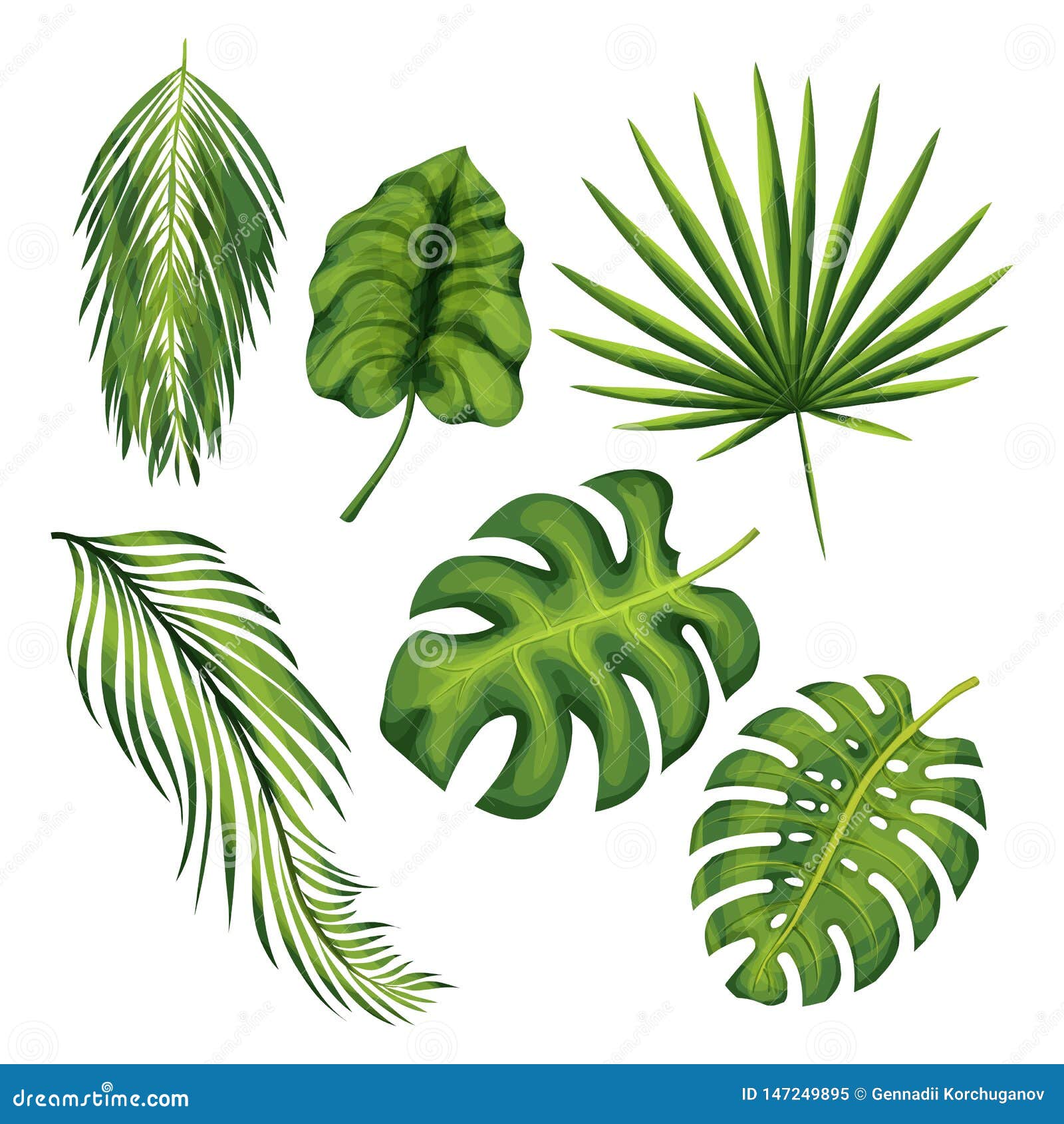 Exotic Jungle Plant Leaves Illustrations Set Isolated in White ...