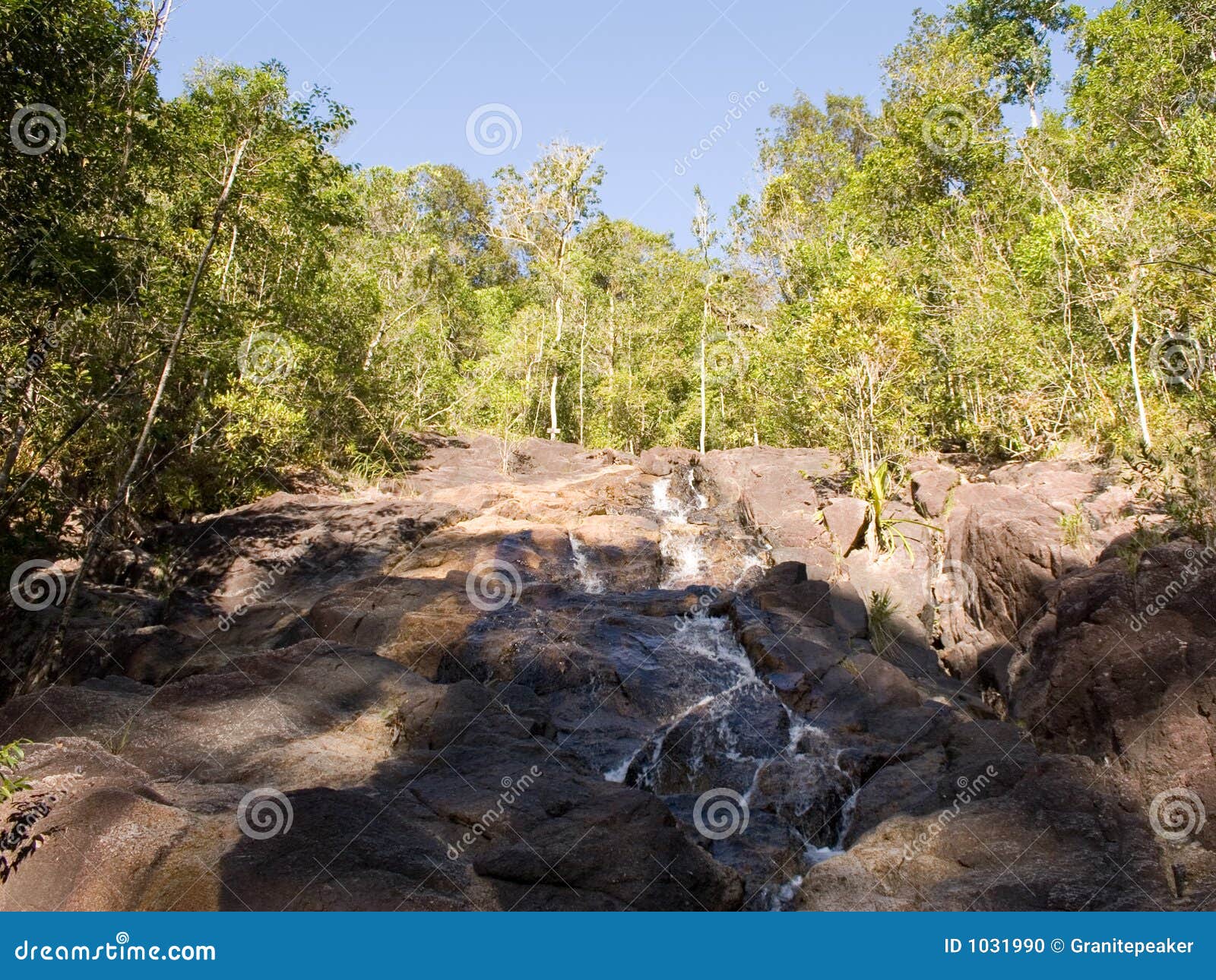 Exotic Jungle Thailand stock photo. Image of brooke 1031990