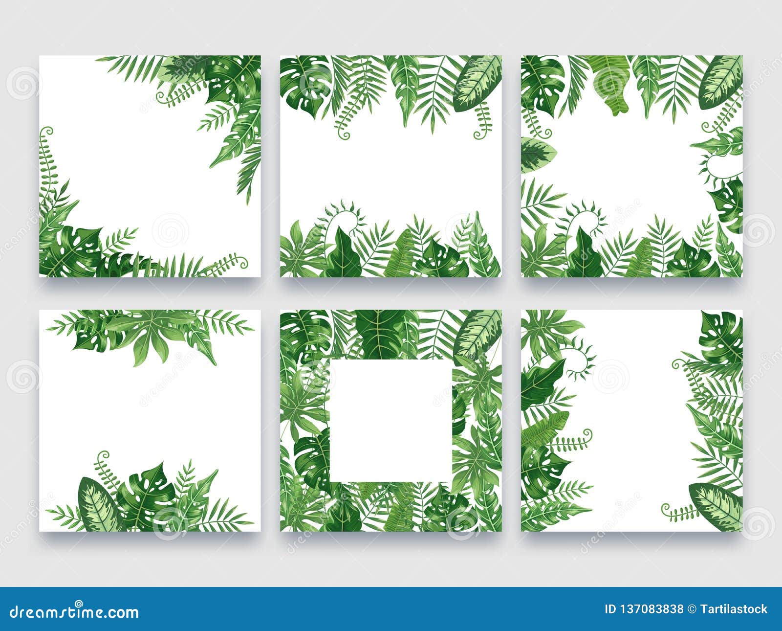 exotic leaves frame. tropical leaf border, nature summer frames and luxury palm leaves borders   background