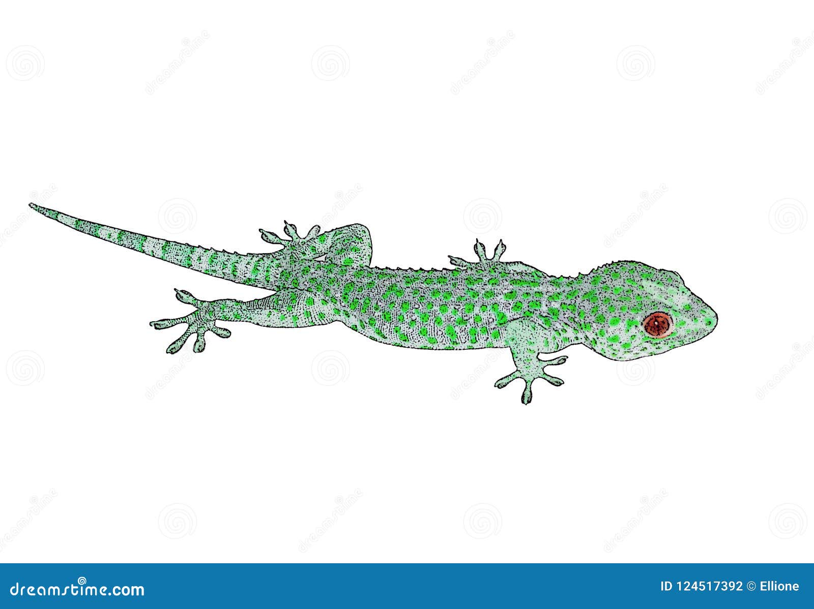 Single green lizard. stock photo. Image of guano, object - 124517392