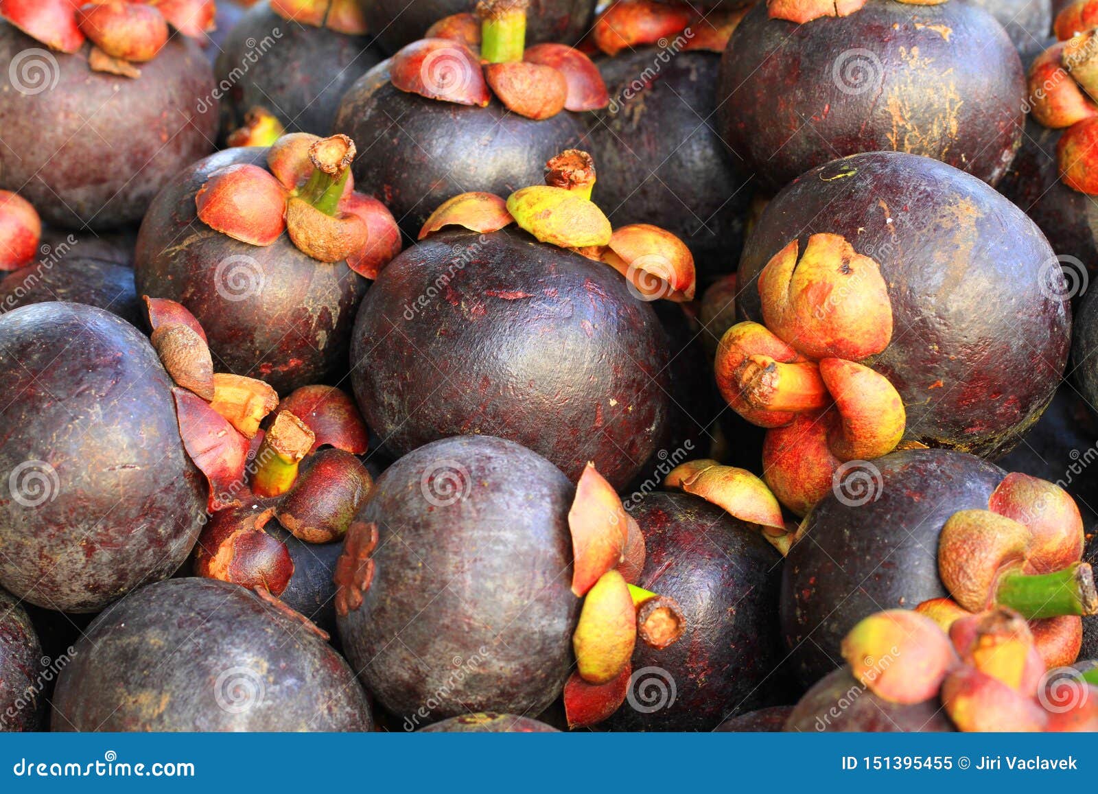 Exotic Mangostan Fruit Texture Stock Image Image of healthy, food