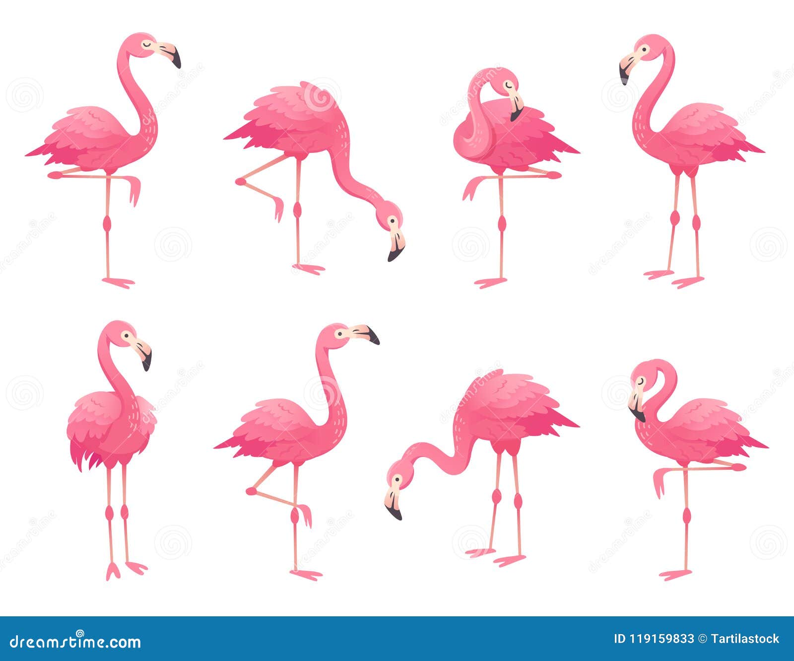 exotic pink flamingos birds. flamingo with rose feathers stand on one leg. rosy plumage flam bird cartoon 