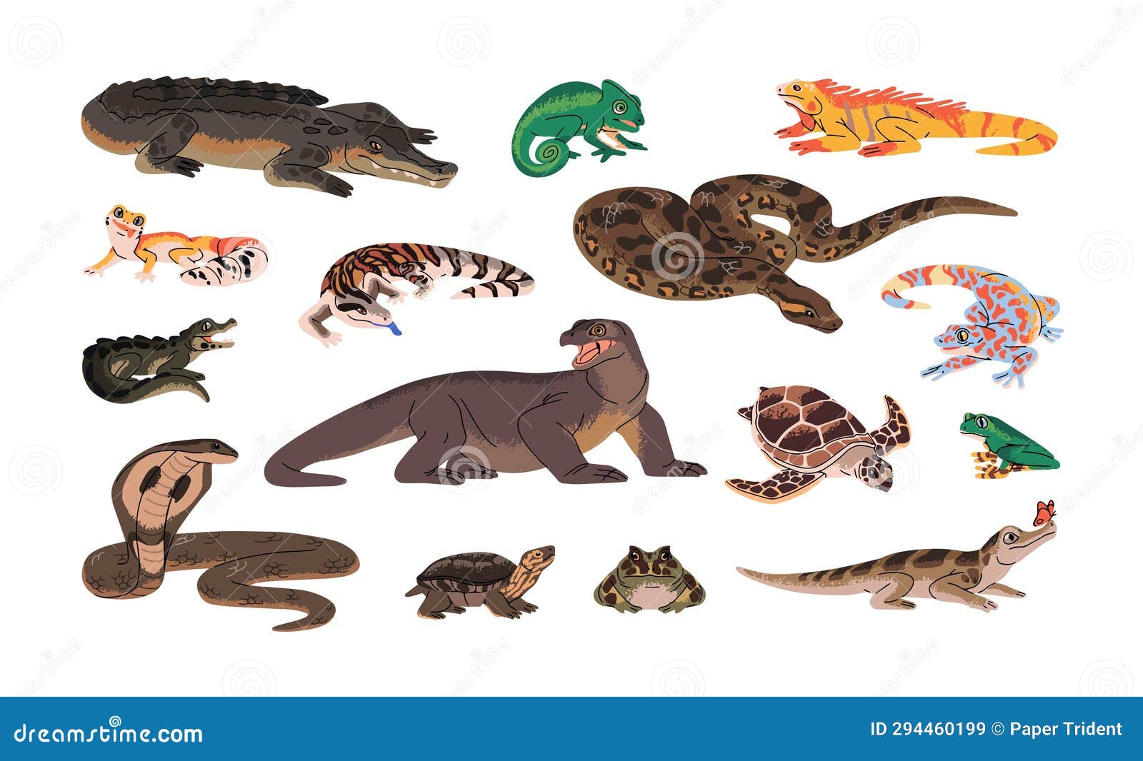Exotic Reptiles Set Amphibian Animals Snakes Or Lizards Stock Vector