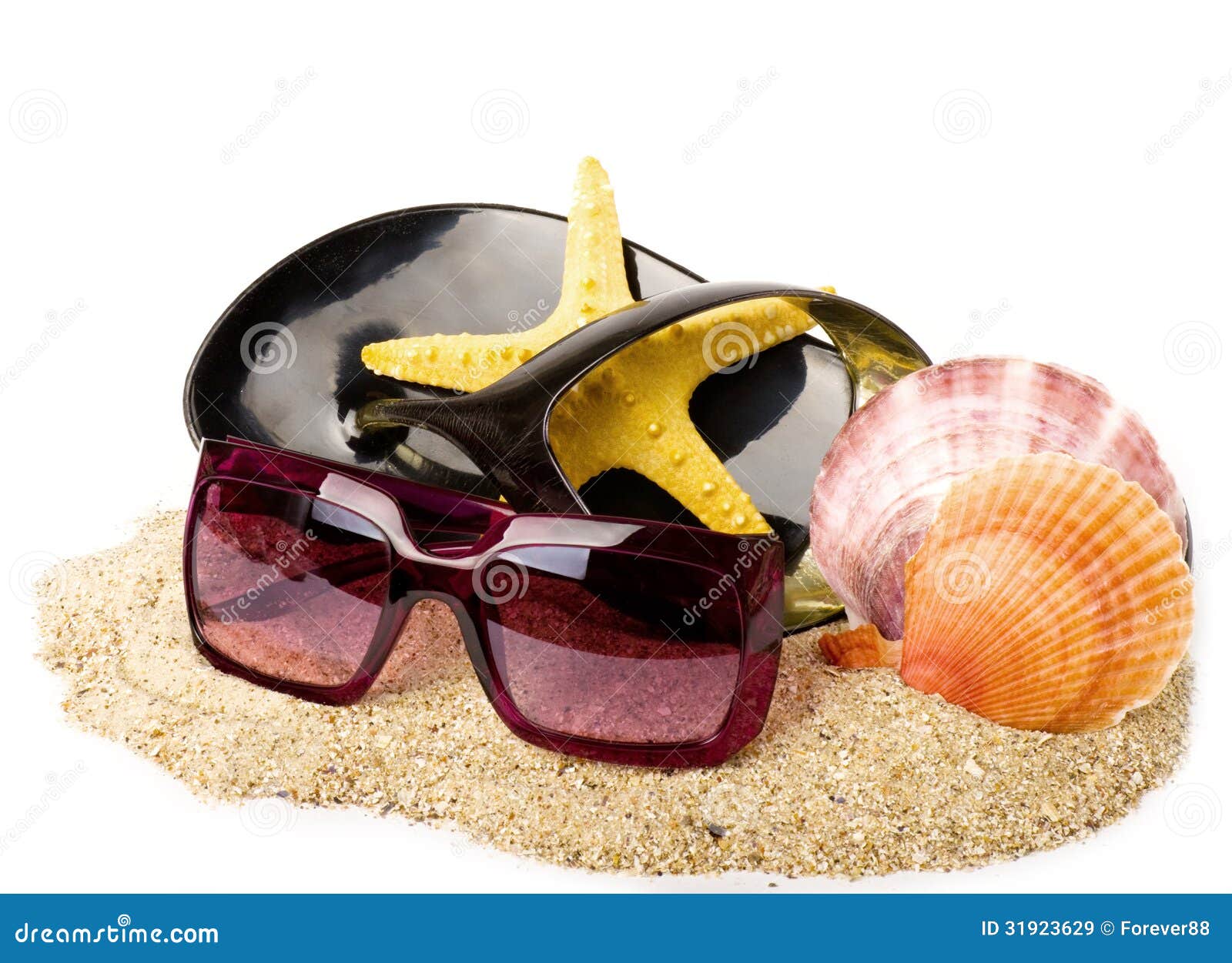 Exotic Shell, Shoe and Glasses on Sand Stock Image Image of nature
