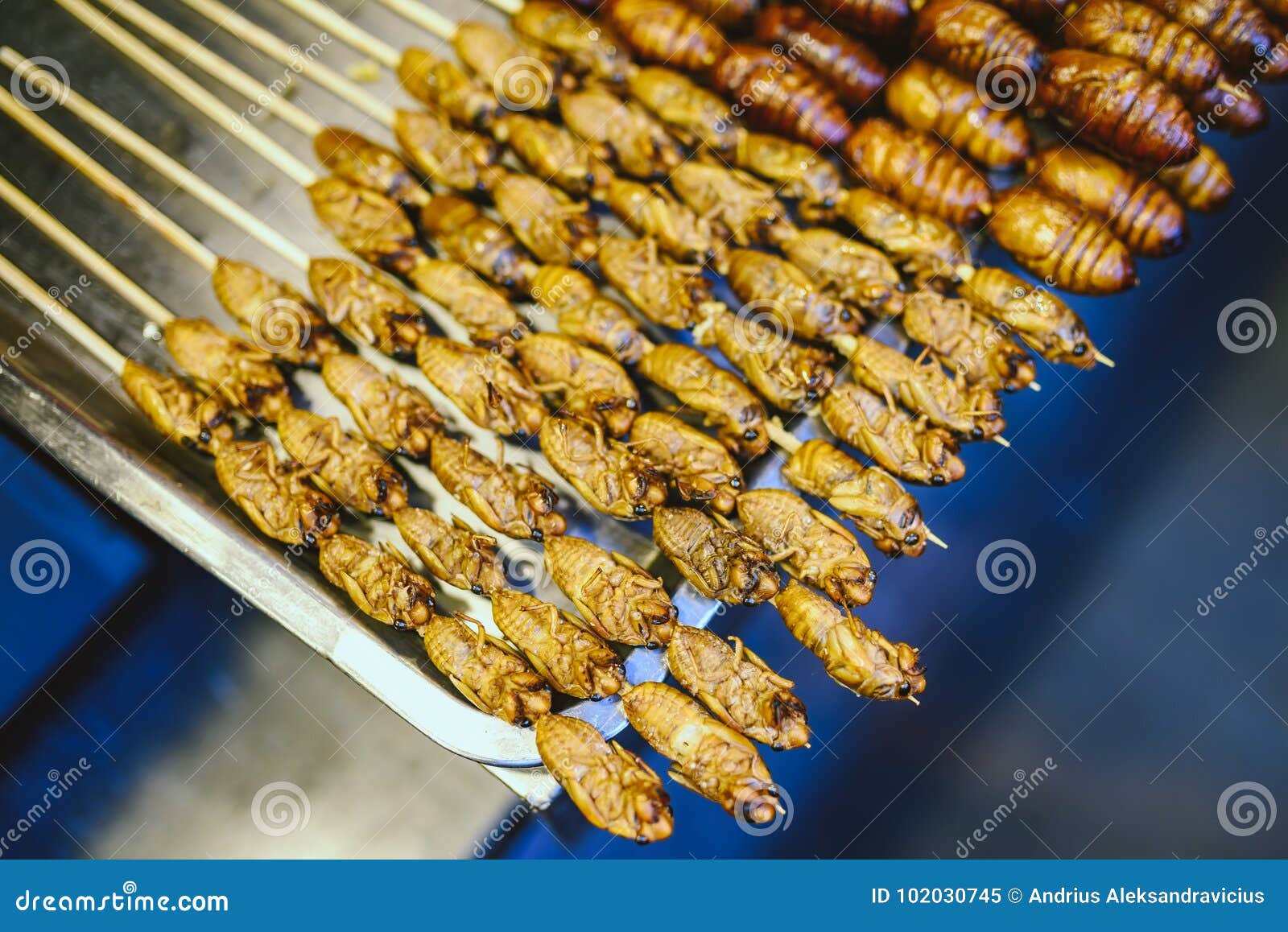 exotic snacks and desserts , beijing, china