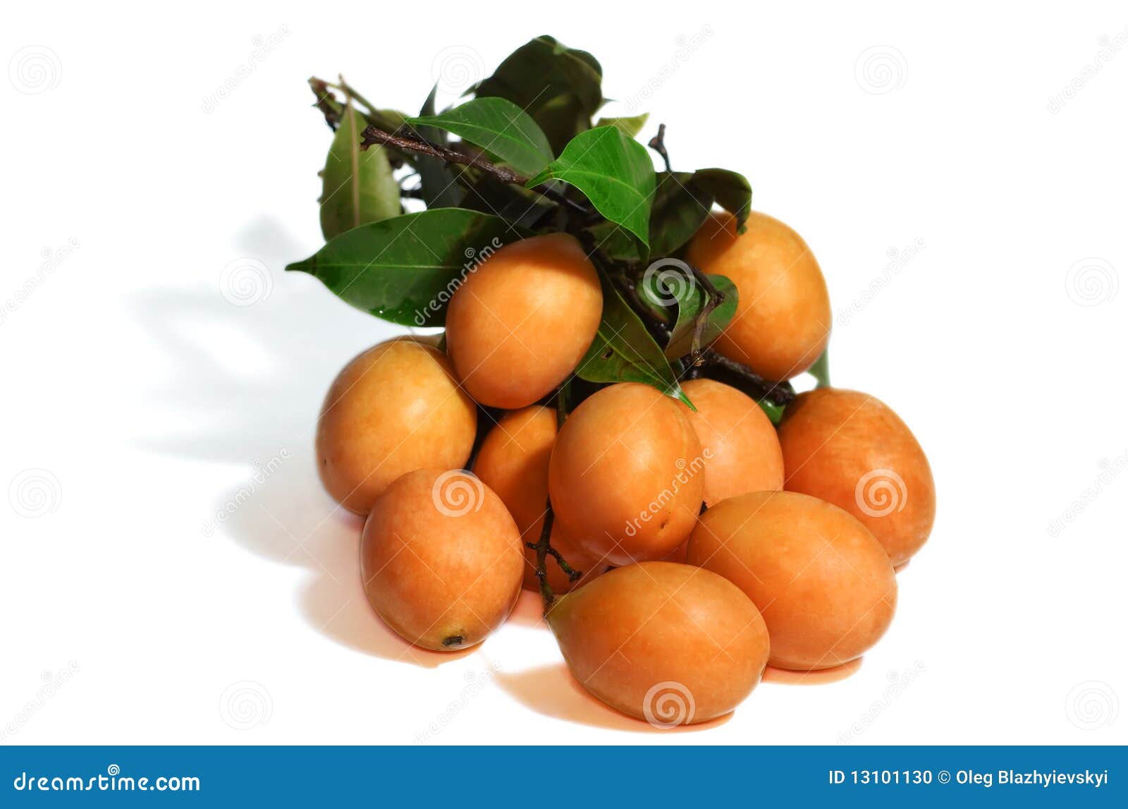 Exotic Thai Fruit. Maprang, Marian Plum Stock Photo Image of maprang