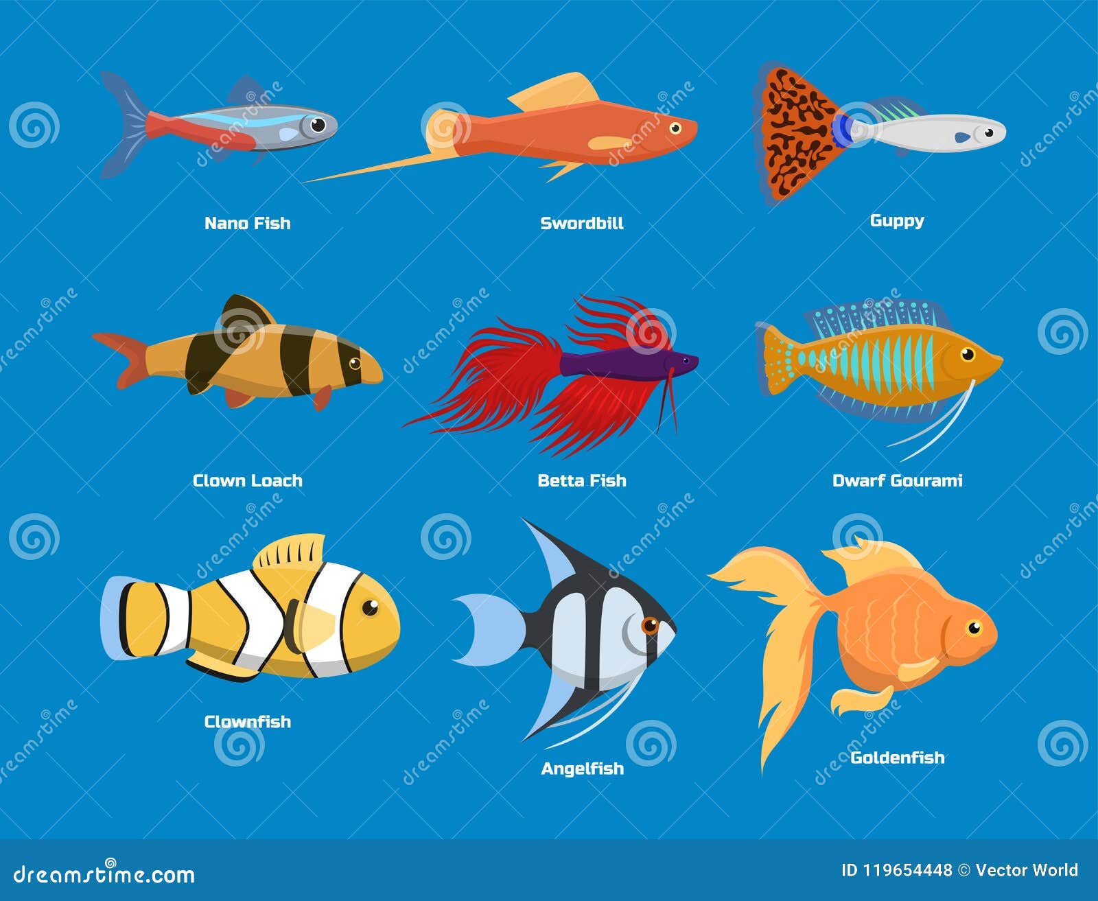 Exotic Tropical Aquarium Fish Different Colors Underwater Ocean Species  Aquatic Nature Flat Vector Illustration Stock Vector - Illustration of  nature, life: 119654448