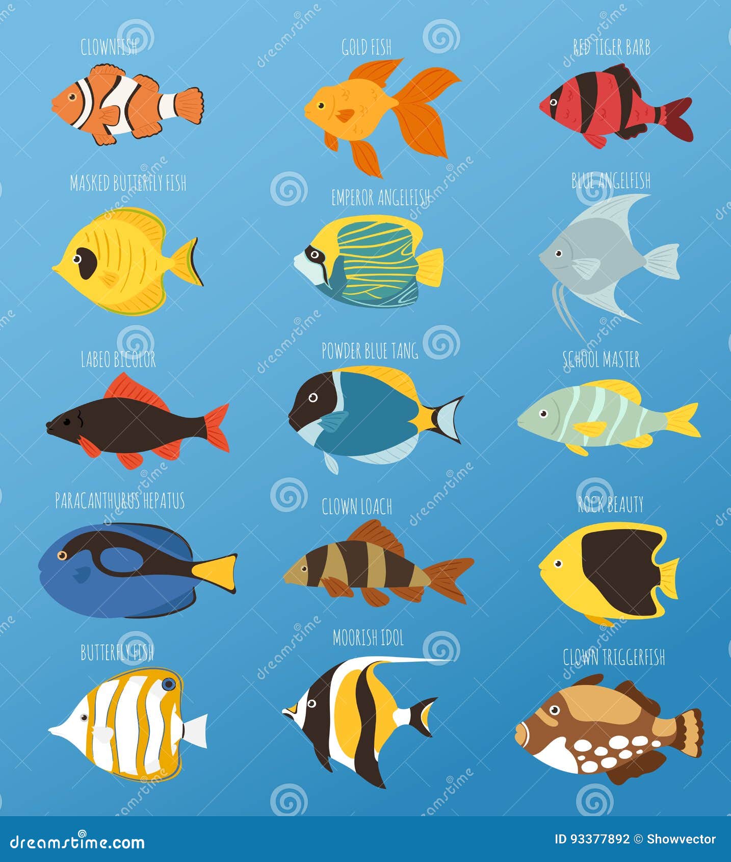 Exotic Tropical Fish Race Different Breed Colors Underwater Ocean Species  Aquatic Strain Nature Flat Vector Illustration Stock Vector - Illustration  of strain, colorful: 93377892