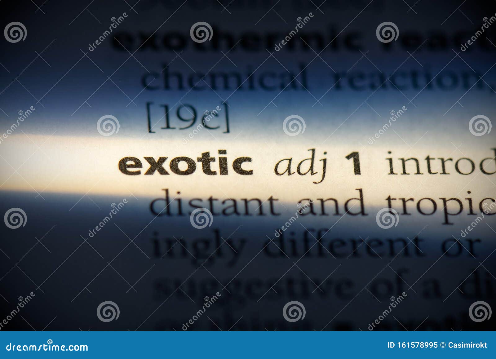 Exotic stock image. Image of english, highlight, thesaurus 161578995