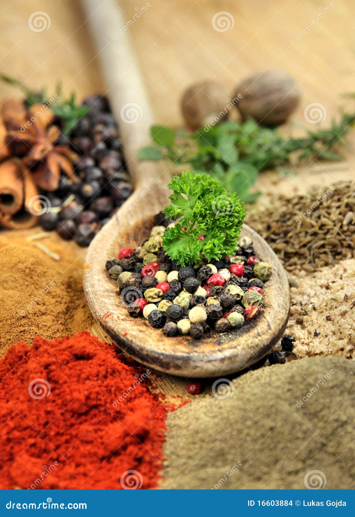 Exotically spice mix stock photo. Image of fresh, paprika 16603884
