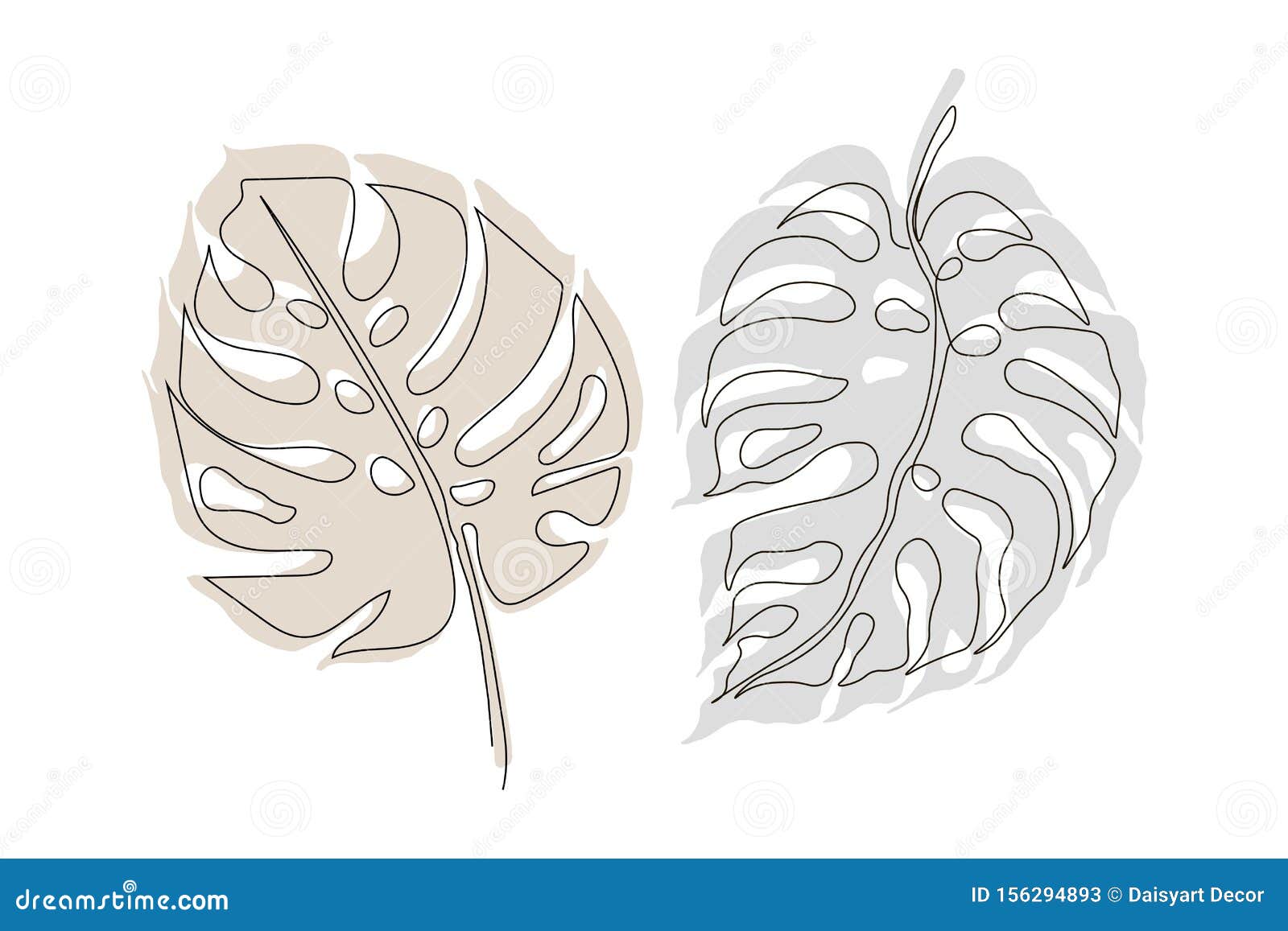 Monstera Zeichnen