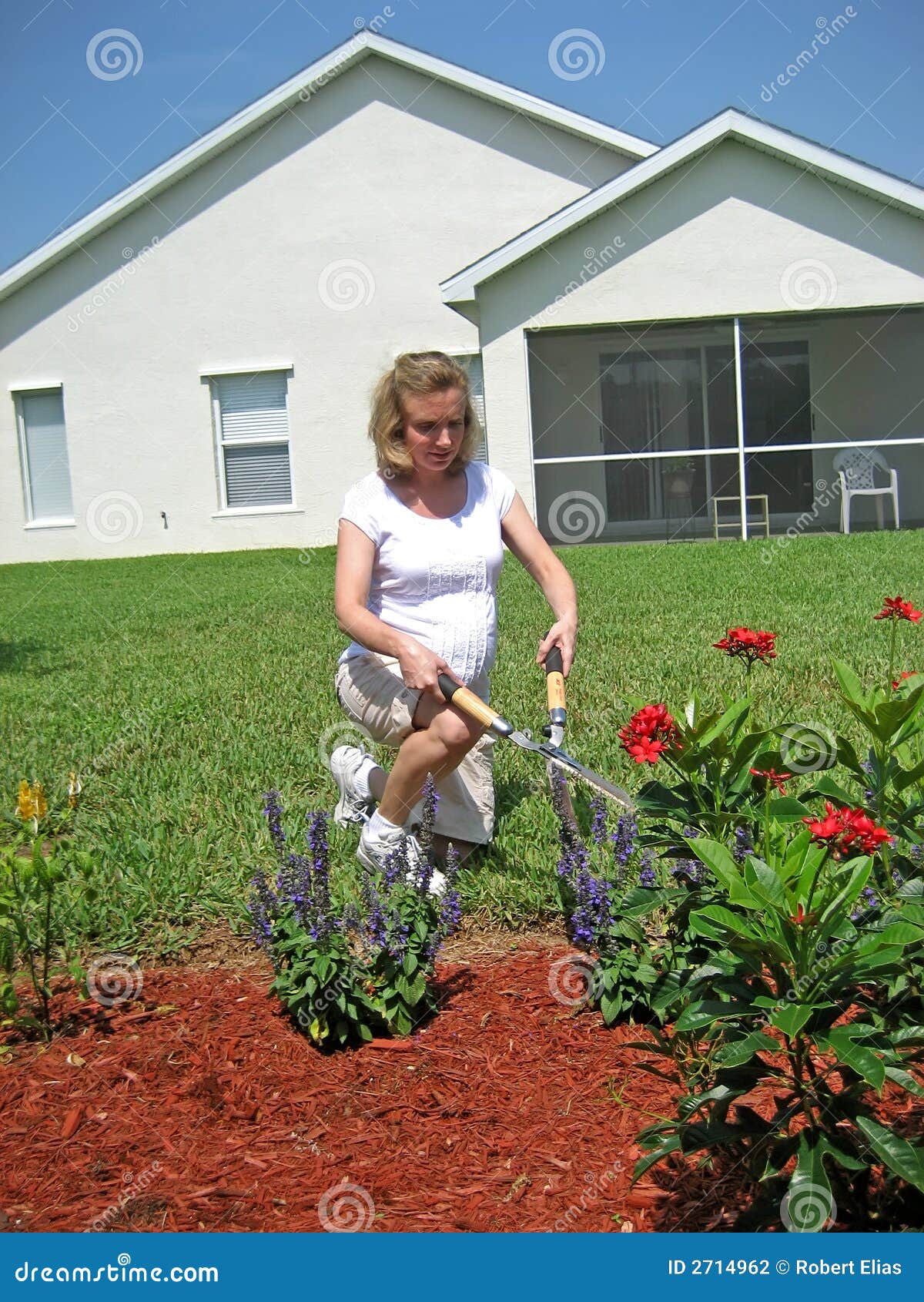 Expectant Mother Gardening 3 Stock Photo Image of flowers, shears