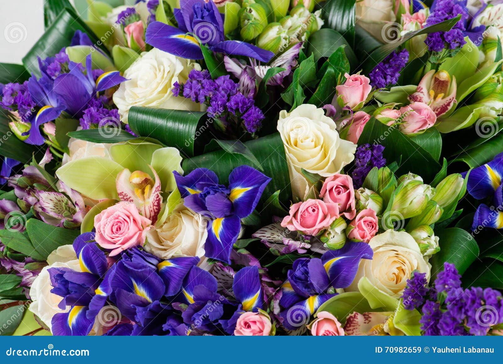Expensive bouquet macro stock image. Image of elegance 70982659