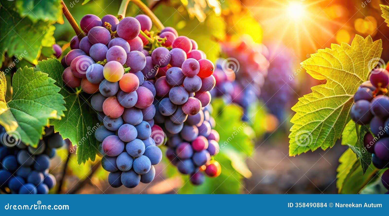 stunning aigenerated stock photos of lush grapevines vibrant imagery for your winethemed projects more