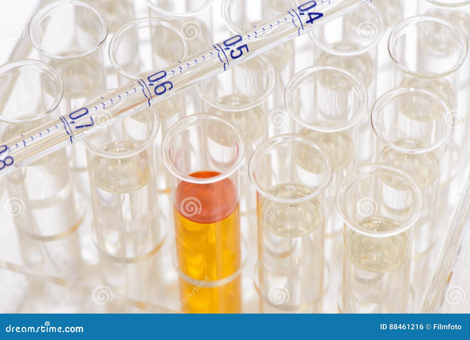 Experiment in Chemical Lab with Liquid in Test Tube Stock Photo Image
