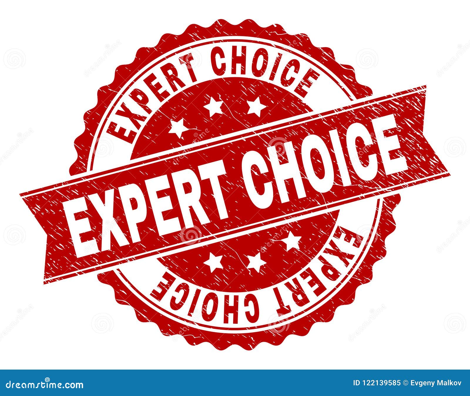 the expert choice the expert choice