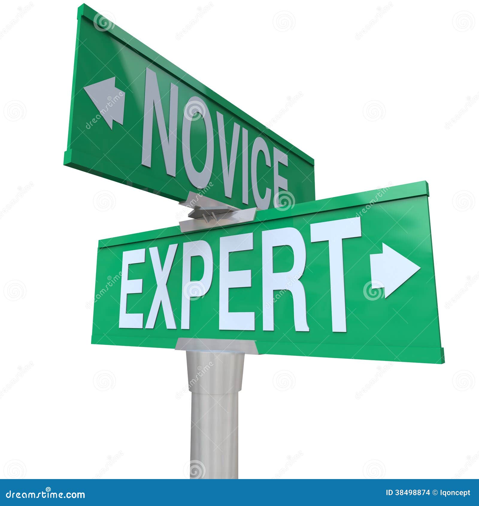 expert vs novice two way road sign skills experience expertise