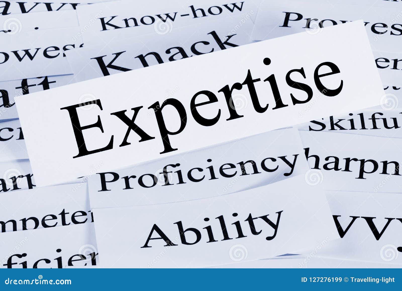 expertise concept in words